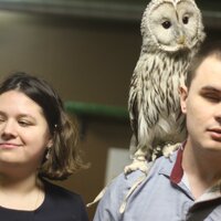 Елена Масютина