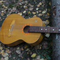 Роман Порошин