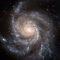 Даниил Востриков