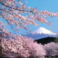 Полина Кажекина