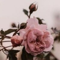 Александра Л