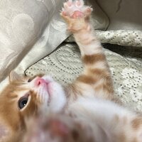 Книжный червь