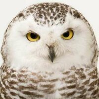 Оксана Капитанова