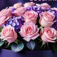 Елена Ильина