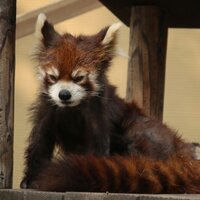 Анастасия .