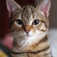 Сатбек Турганбаев