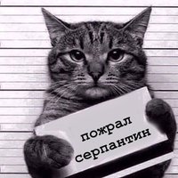 Павел Волосунин