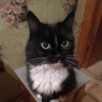 Надежда Константиновна