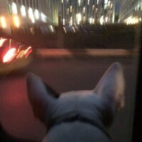 Валентин А.