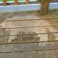 Анна Нестеренко