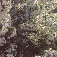 Юлиана Ринатовна Латыпова