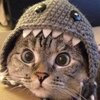 qdjcvj1ej046nfzfnen4w3n1qr