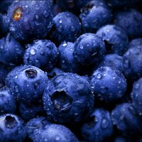 Екатерина Кондратенко