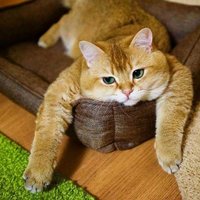 Екатерина Б.