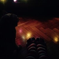 Анна Дорофеева