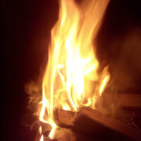 Егор Волков 99