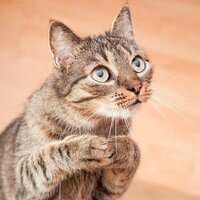 Олег Иванов