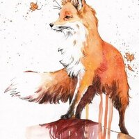 Екатерина Зайцева