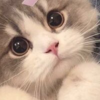 Qua_S_aDr