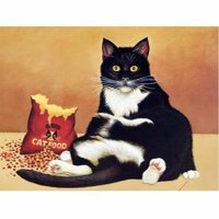 Наталья Шат