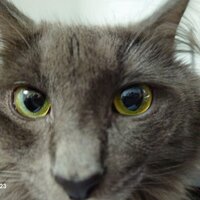 Оля Коновалова