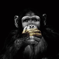 Дмитрий Софейков