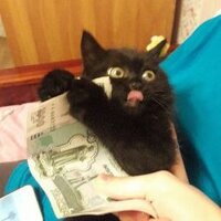 просто пельмешка