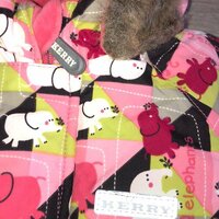 Марина Иваничева