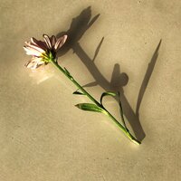 Екатерина Ч.