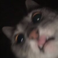 шпиом ггшршрз