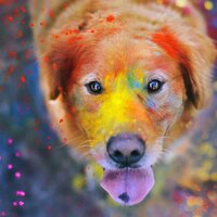 Ирина Горелова