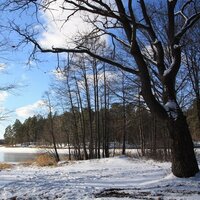 Наталия Войнова