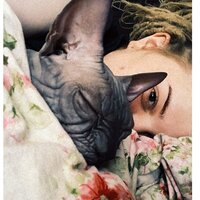 София Майорова