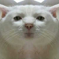 Петр Мизинов