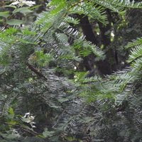 Ксения Шатульских