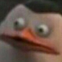 Балов  Ярослав