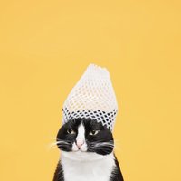 Ангелина Ларина