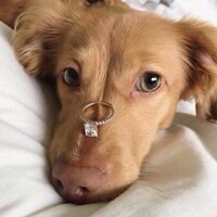 Елизавета Пивоварова