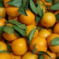 Жанна Никифорова