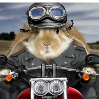 Валерия Садышева