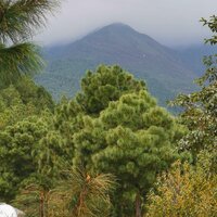 Денис Николаев