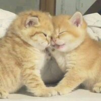 Ольга Прийма