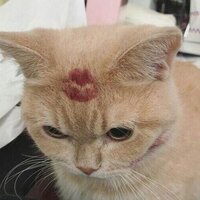 Ева Лапханова