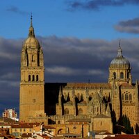 Дарья Моргунова