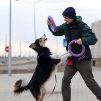 Андрей Лосев