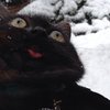 9tt61re0ree4ekkypgz92zx2ag