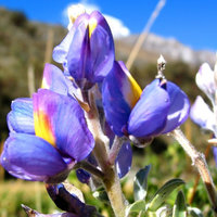 Марина Ерохина