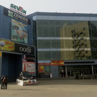 Елена Птица