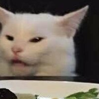 Юлия Русских