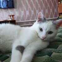 Вика Миронова